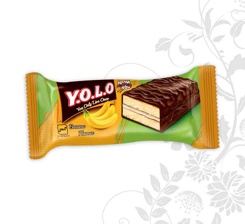 Chocolate YOLO Layer